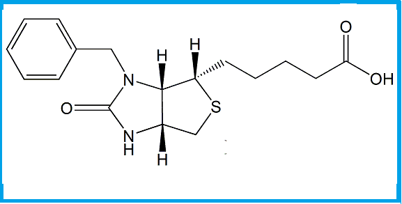 BIOTIN N3-BENZYL IMPURITY 